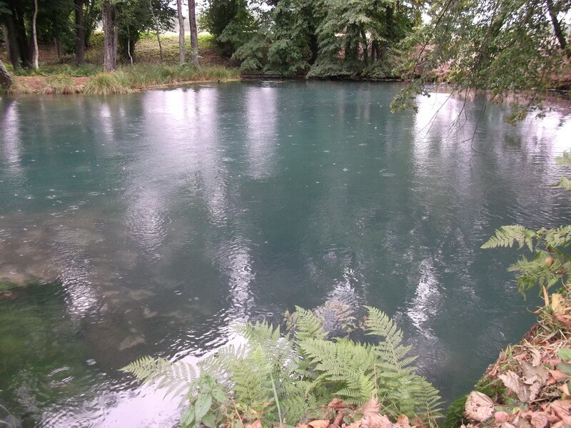 Поездка на Голубую криницу